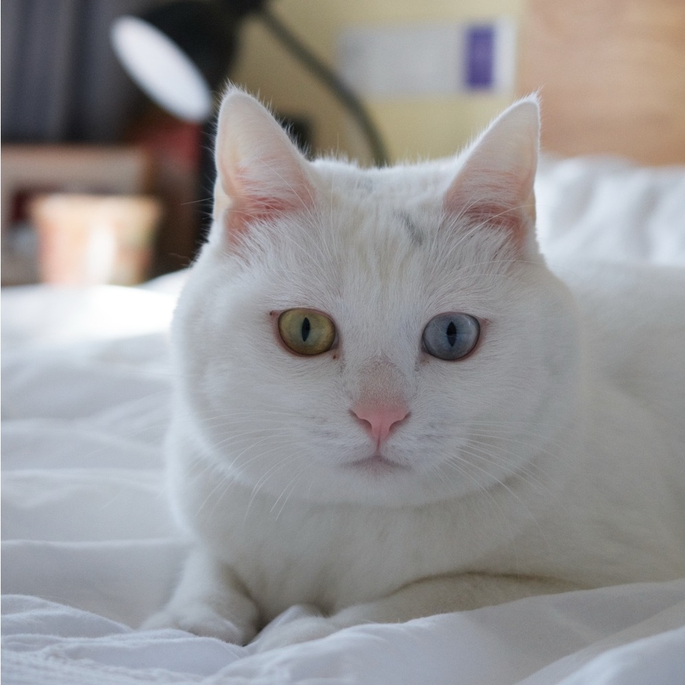 Shipping Clarification and Potential Issues